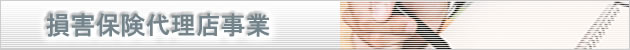 損害保険代理店事業